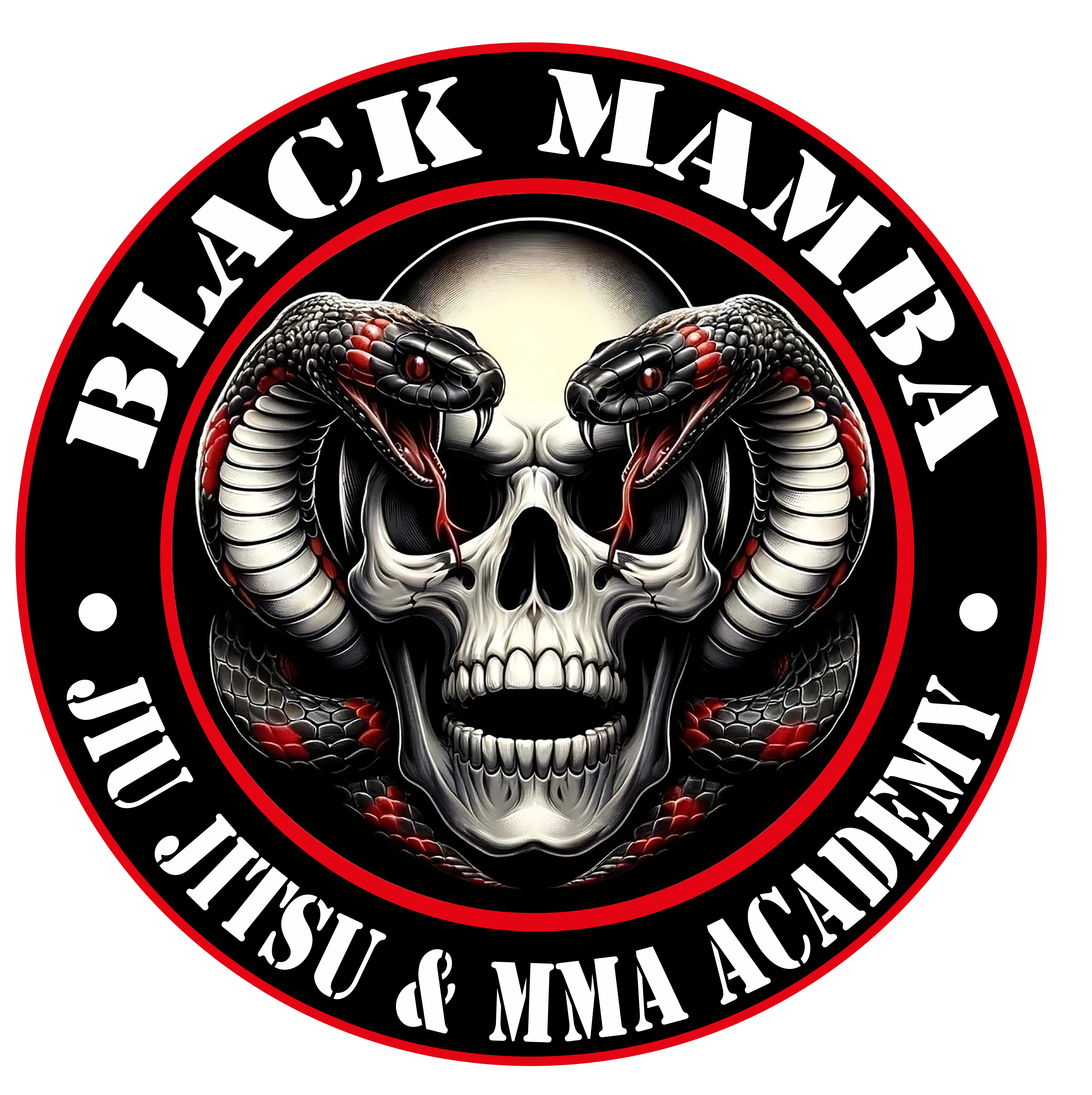 black mamba academy top logo
