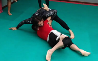 BRAZILIAN JIU JITSU NOGI